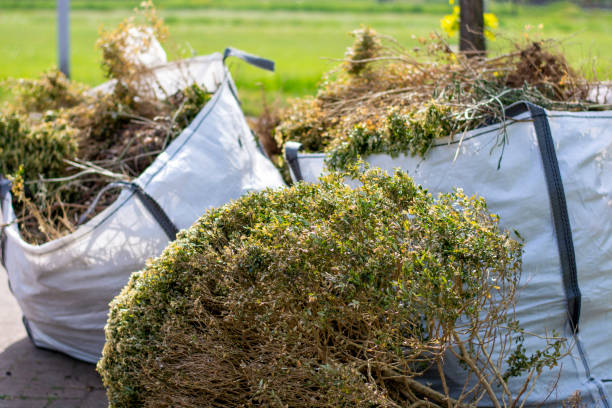 Best Dumpster Rental Services  in San Jacinto, CA